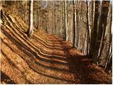 Podbrdo - Planina Za Črno goro